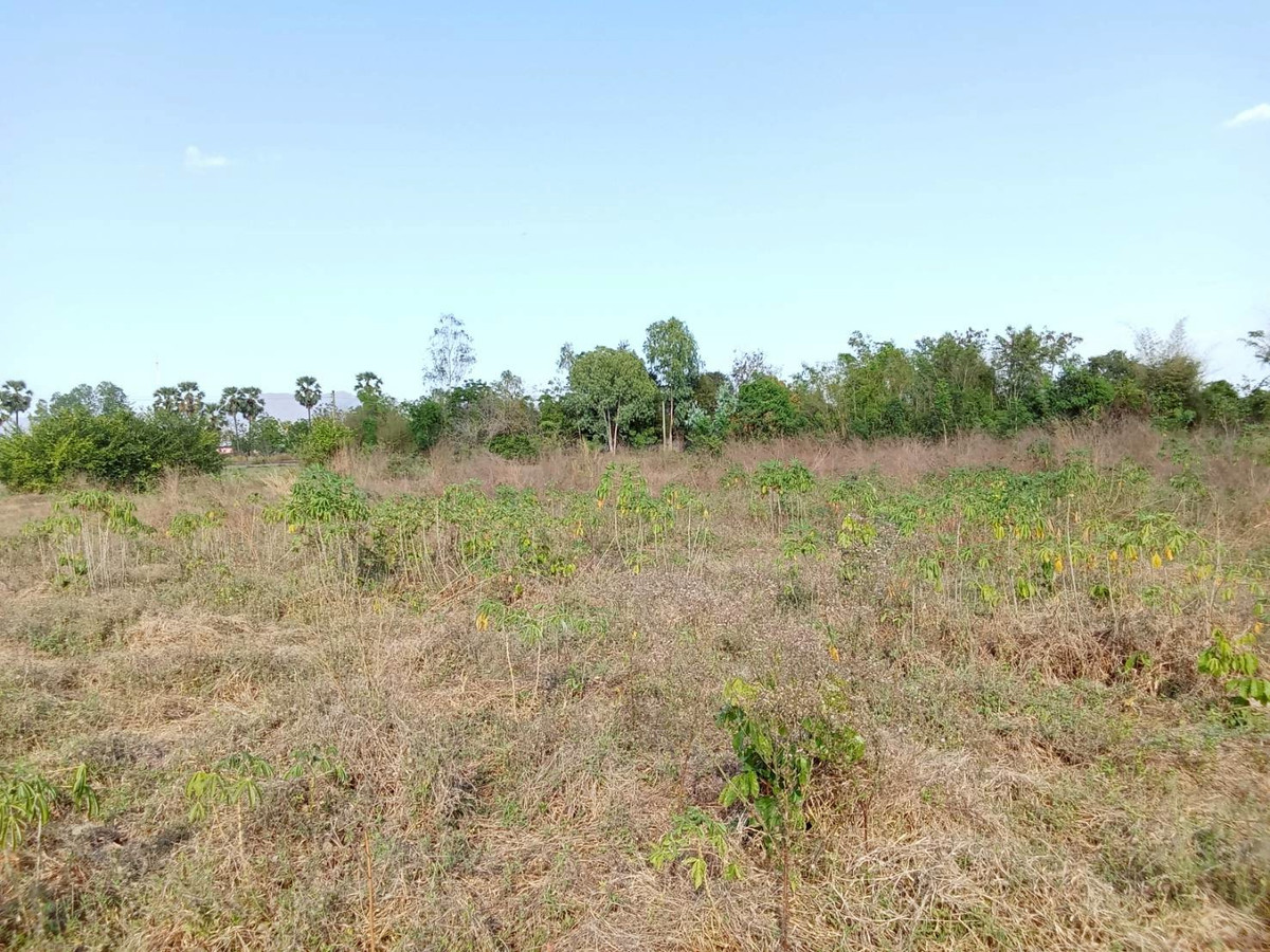 ขายที่ดินอุทัยธานี : ขายที่ดินแปลงใหญ่ อำเภอทัพทัน จังหวัดอุทัยธานี ** ราคา 299 บาท/วา ** (N.2032)