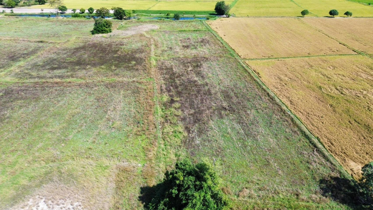 LandNakhon Sawan : 🔥 Land in Nong Kradon Nakhon Sawan 33-2-79 Rai, Pink Layout, Near Asian Highway!!!!!!!!!