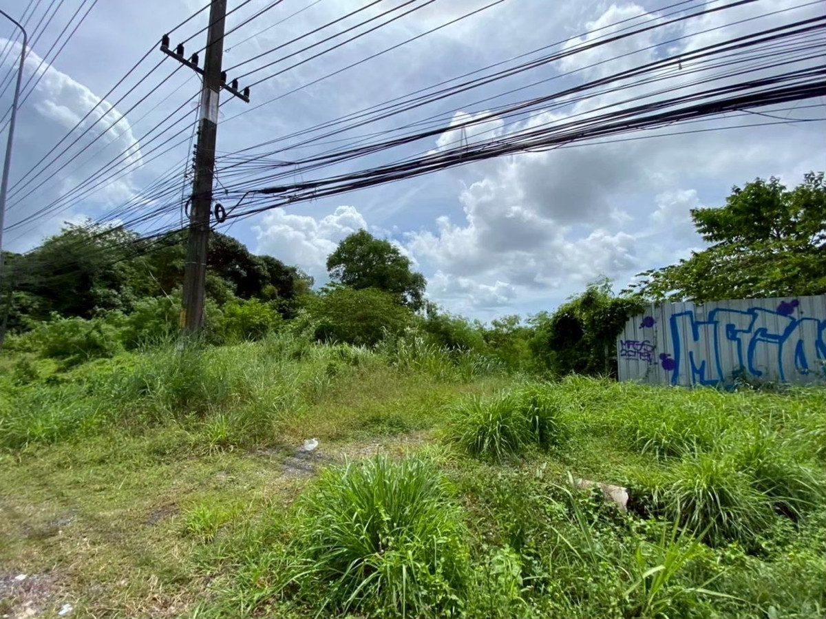 For SaleLandPhuket : 📢 Beautiful plot of land for sale. High potential location in the heart of Phuket, opposite King Power Phuket.