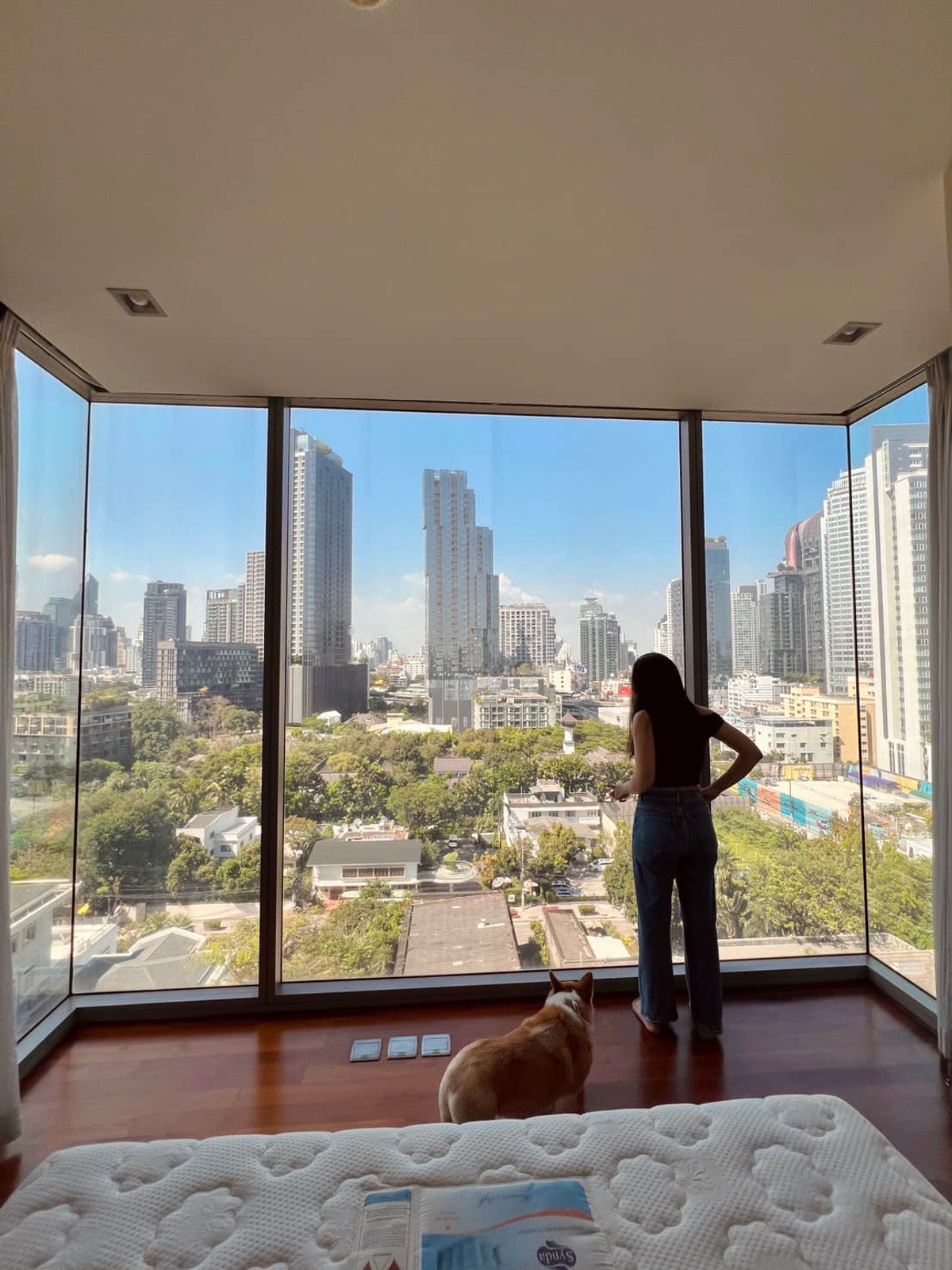 ขายคอนโดสุขุมวิท อโศก ทองหล่อ : Ashton Morph 38 / 2 Bedrooms (FOR SALE), แอชตัน มอร์ฟ 38 / 2 ห้องนอน (ขาย) NA052