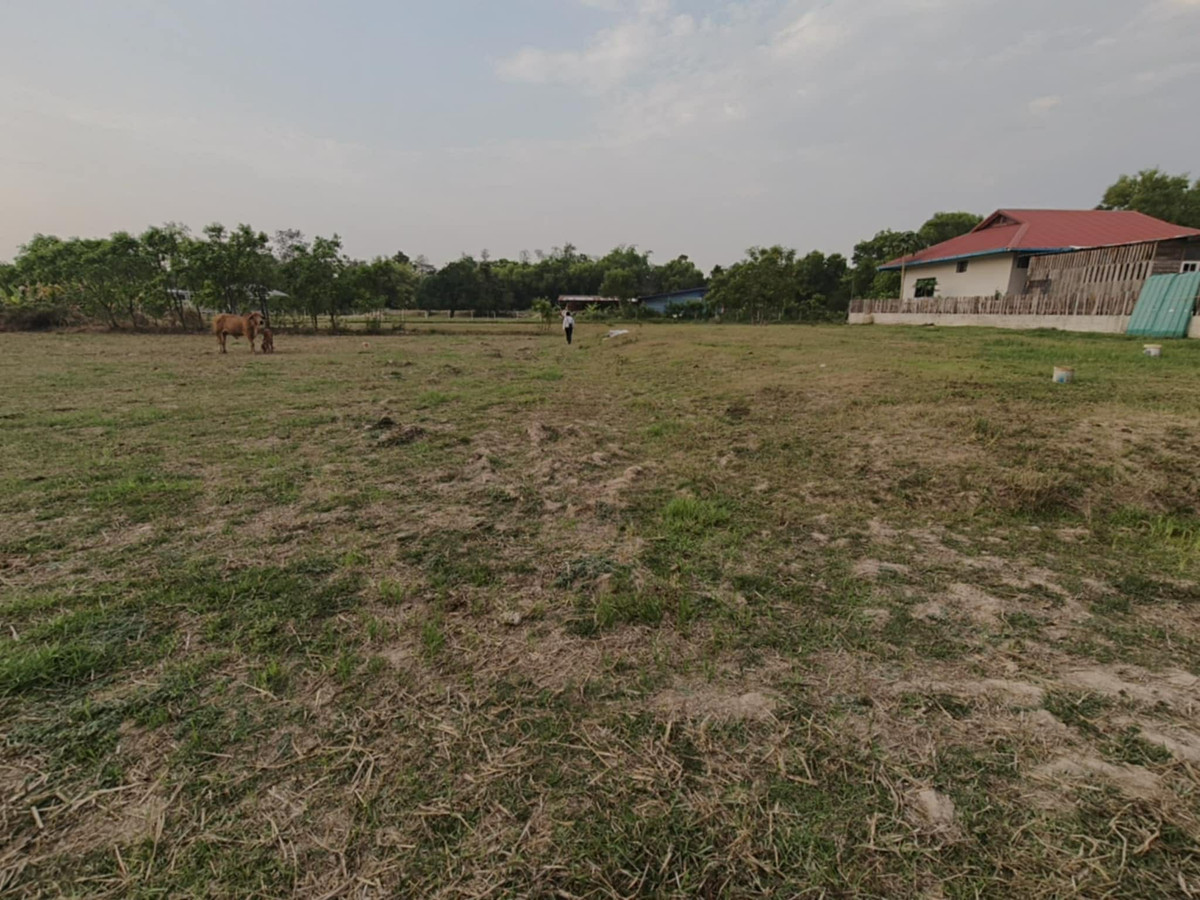 ขายที่ดินอุบลราชธานี : ขายที่ดินถมแล้ว อุบลราชธานี เพียง 1.5 ลบ. ฟรีโอน ** ราคาดีมาก เหมาะซื้อเก็บหรือสร้างบ้านทันที! (N.2029)