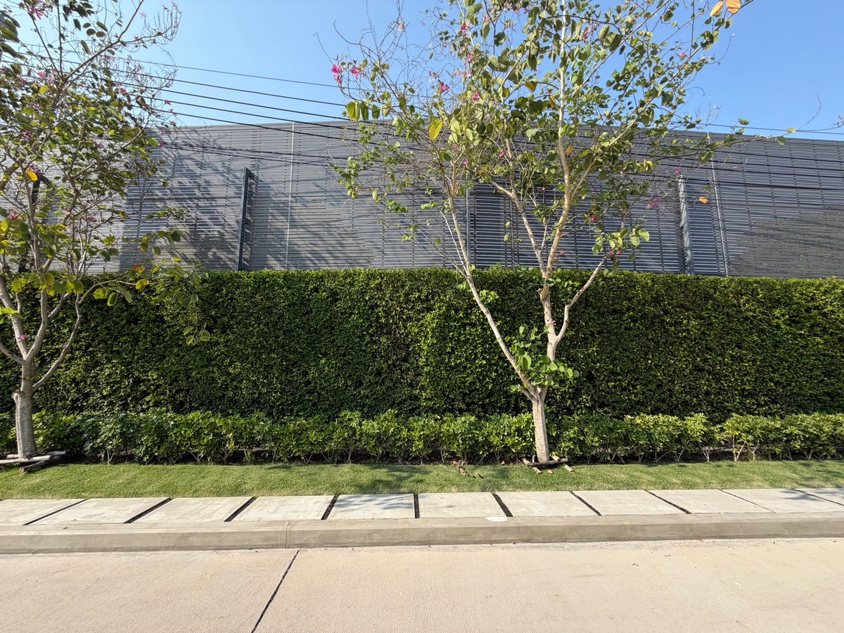 ให้เช่าบ้านบางนา แบริ่ง ลาซาล : ให้เช่าบ้านเดี่ยวหรู เศรษฐสิริ บางนา กม.10 บ้านเดี่ยวดีไซน์โมเดิร์น เรียบหรู ฟังก์ชันลงตัว เหมาะสำหรับครอบครัวที่ต้องการความเป็นส่วนตัวในโครงการระดับพรีเมียม