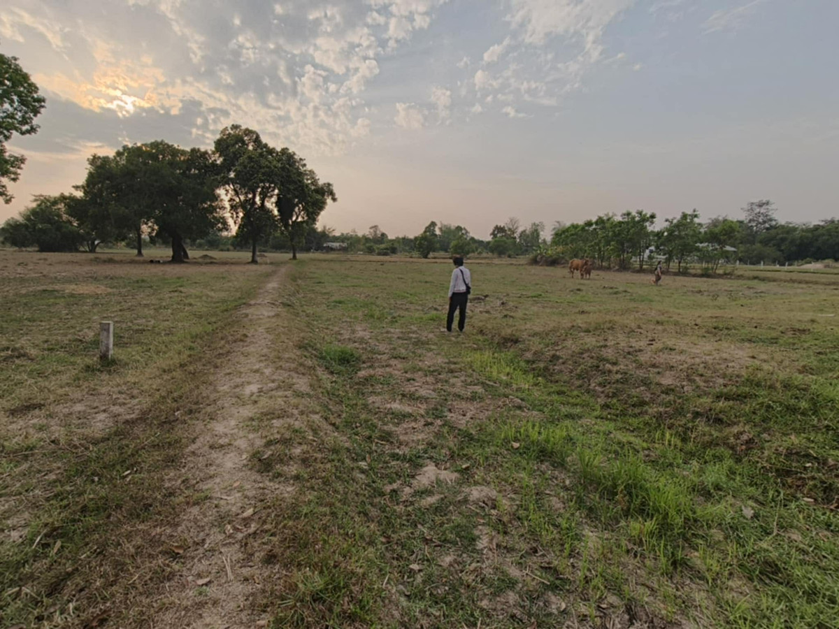 ขายที่ดินอุบลราชธานี : ขายที่ดินถมแล้ว อุบลราชธานี เพียง 1.5 ลบ. ฟรีโอน ** ราคาดีมาก เหมาะซื้อเก็บหรือสร้างบ้านทันที! (N.2029)