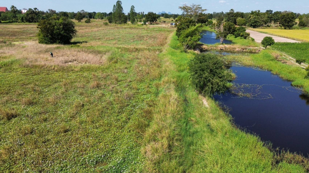 LandNakhon Sawan : 🔥 Land in Nong Kradon Nakhon Sawan 33-2-79 Rai, Pink Layout, Near Asian Highway!!!!!!!!!