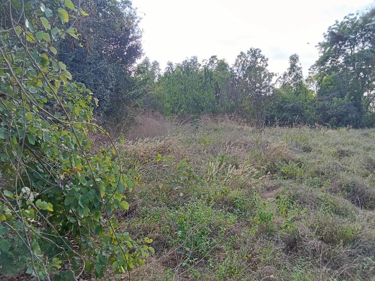 ขายที่ดินอุทัยธานี : ขายที่ดินแปลงใหญ่ อำเภอทัพทัน จังหวัดอุทัยธานี ** ราคา 299 บาท/วา ** (N.2032)