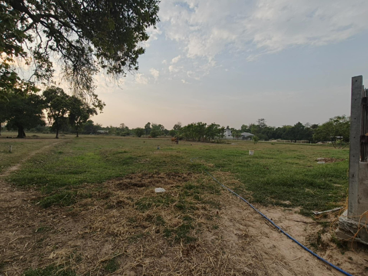 ขายที่ดินอุบลราชธานี : ขายที่ดินถมแล้ว อุบลราชธานี เพียง 1.5 ลบ. ฟรีโอน ** ราคาดีมาก เหมาะซื้อเก็บหรือสร้างบ้านทันที! (N.2029)