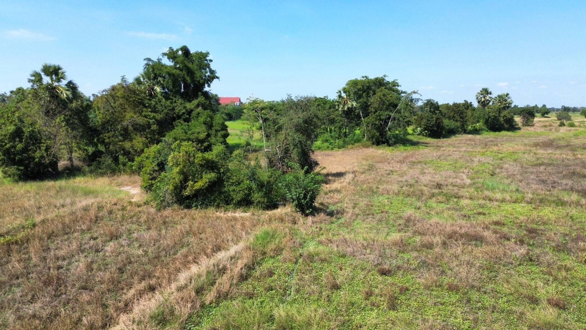 LandNakhon Sawan : 🔥 Land in Nong Kradon Nakhon Sawan 33-2-79 Rai, Pink Layout, Near Asian Highway!!!!!!!!!