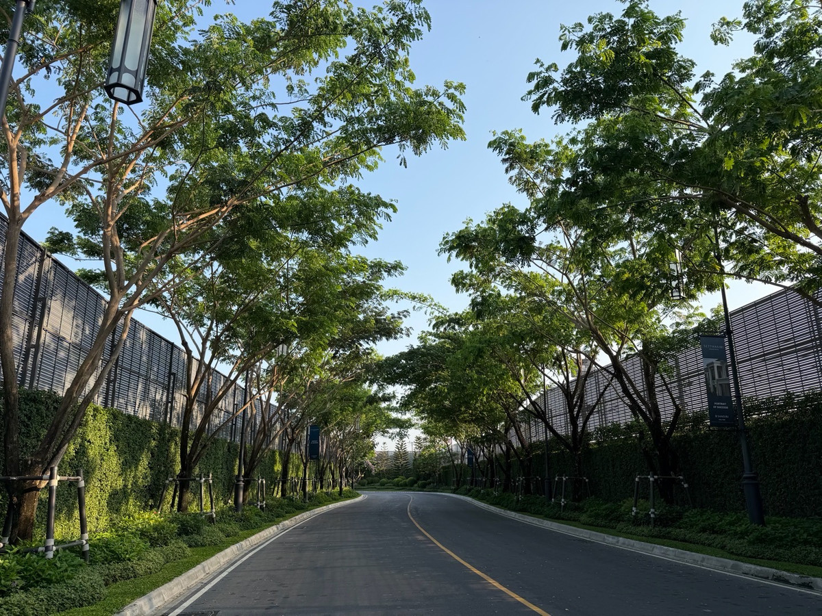 ให้เช่าบ้านบางนา แบริ่ง ลาซาล : ให้เช่าบ้านเดี่ยวหรู เศรษฐสิริ บางนา กม.10 บ้านเดี่ยวดีไซน์โมเดิร์น เรียบหรู ฟังก์ชันลงตัว เหมาะสำหรับครอบครัวที่ต้องการความเป็นส่วนตัวในโครงการระดับพรีเมียม