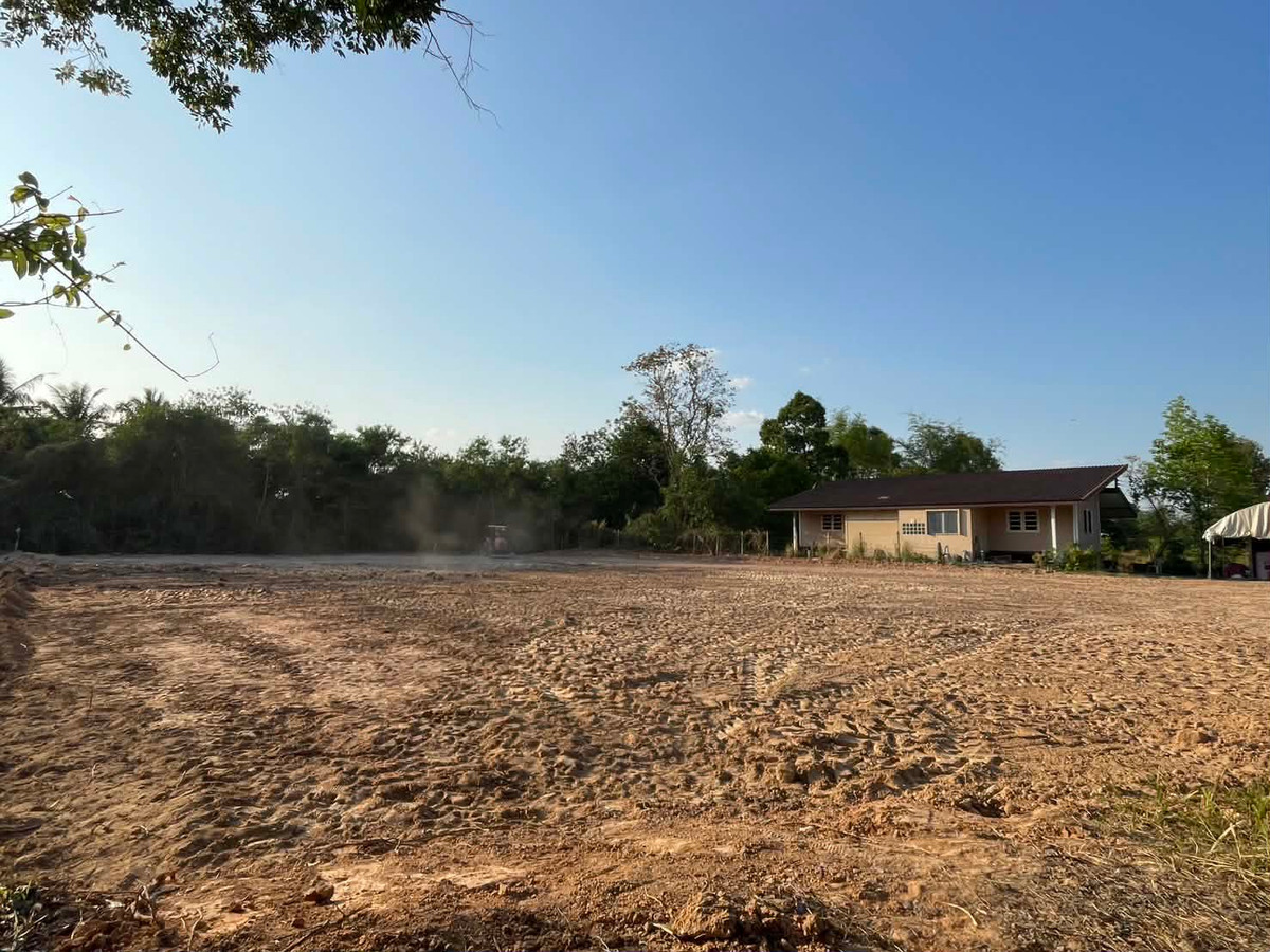 ขายที่ดินอุบลราชธานี : ขายที่ดินถมแล้ว อุบลราชธานี เพียง 1.5 ลบ. ฟรีโอน ราคาดีมาก เหมาะซื้อเก็บหรือสร้างบ้านทันที! (N.2028)