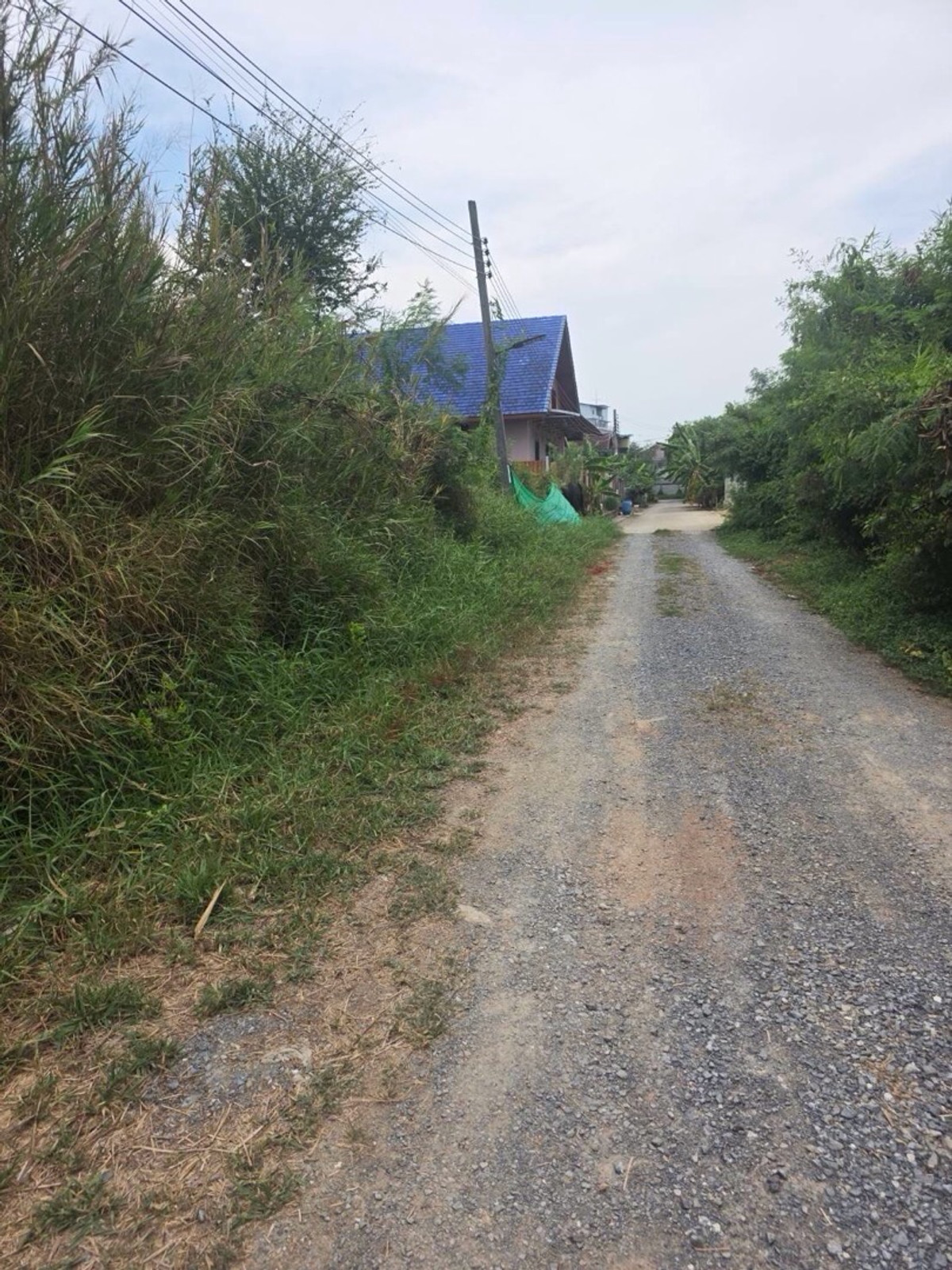 ขายที่ดินพระราม 2 บางขุนเทียน : ขายที่ดินเปล่า ย่านบางกระดี่1 บางขุนเทียน เนื้อที่511ตารางวา กรุงเทพมหานคร