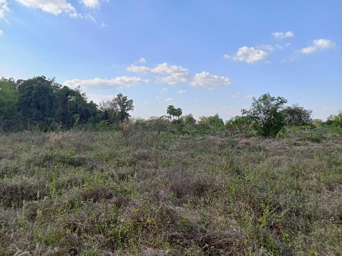 ขายที่ดินอุทัยธานี : ขายที่ดินแปลงใหญ่ อำเภอทัพทัน จังหวัดอุทัยธานี ** ราคา 299 บาท/วา ** (N.2032)