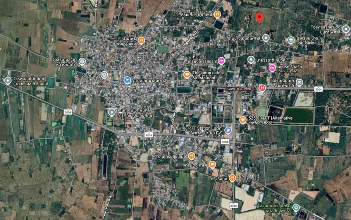 For RentLandNakhon Sawan : Land for rent, 5 rai, view of cassava plantation, near school and Phaisali Hospital, Phaisali District, Nakhon Sawan Province.