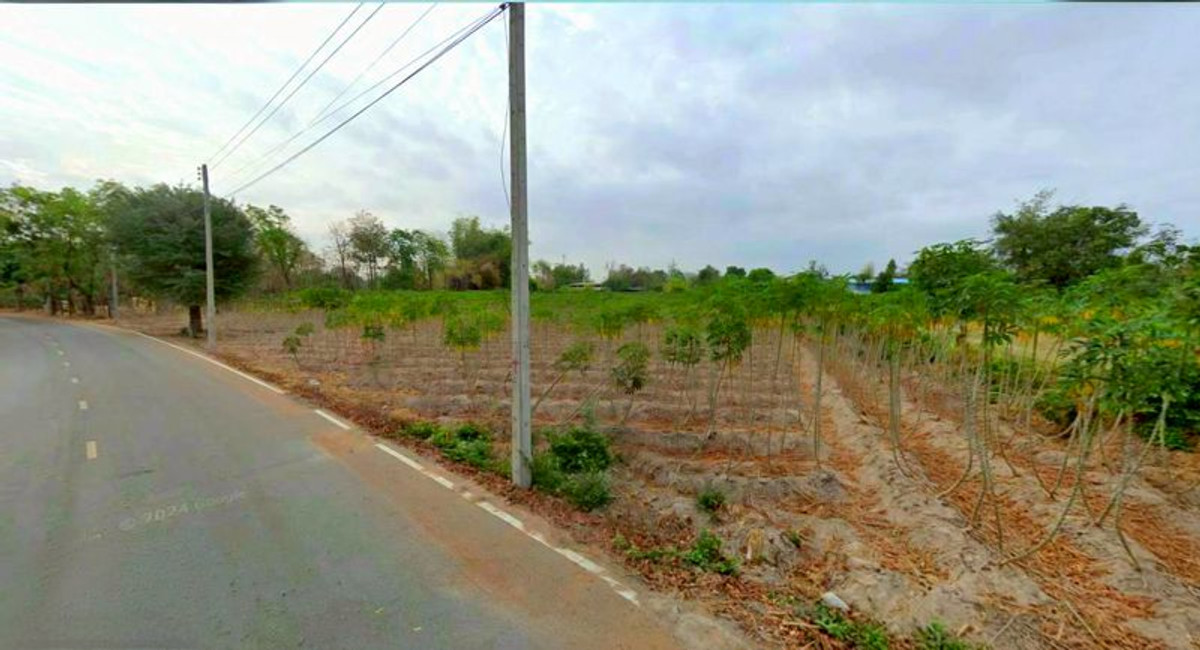 For RentLandNakhon Sawan : Land for rent, 5 rai, view of cassava plantation, near school and Phaisali Hospital, Phaisali District, Nakhon Sawan Province.