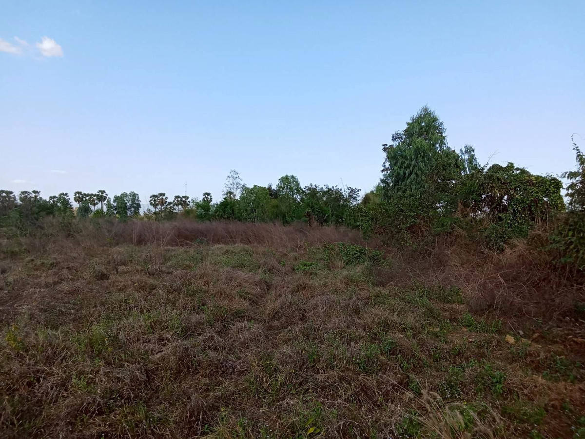 ขายที่ดินอุทัยธานี : ขายที่ดินแปลงใหญ่ อำเภอทัพทัน จังหวัดอุทัยธานี ** ราคา 299 บาท/วา ** (N.2032)