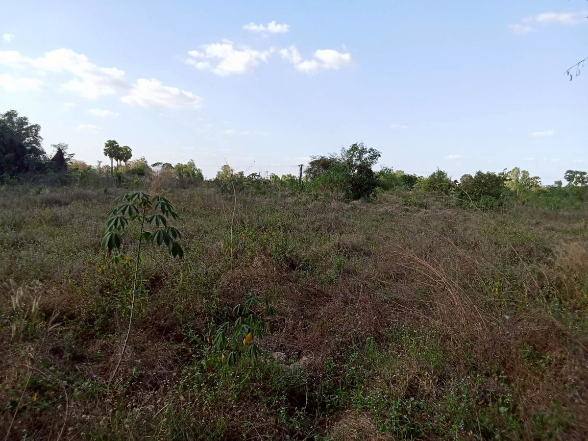 ขายที่ดินอุทัยธานี : ขายที่ดินแปลงใหญ่ อำเภอทัพทัน จังหวัดอุทัยธานี ** ราคา 299 บาท/วา ** (N.2032)