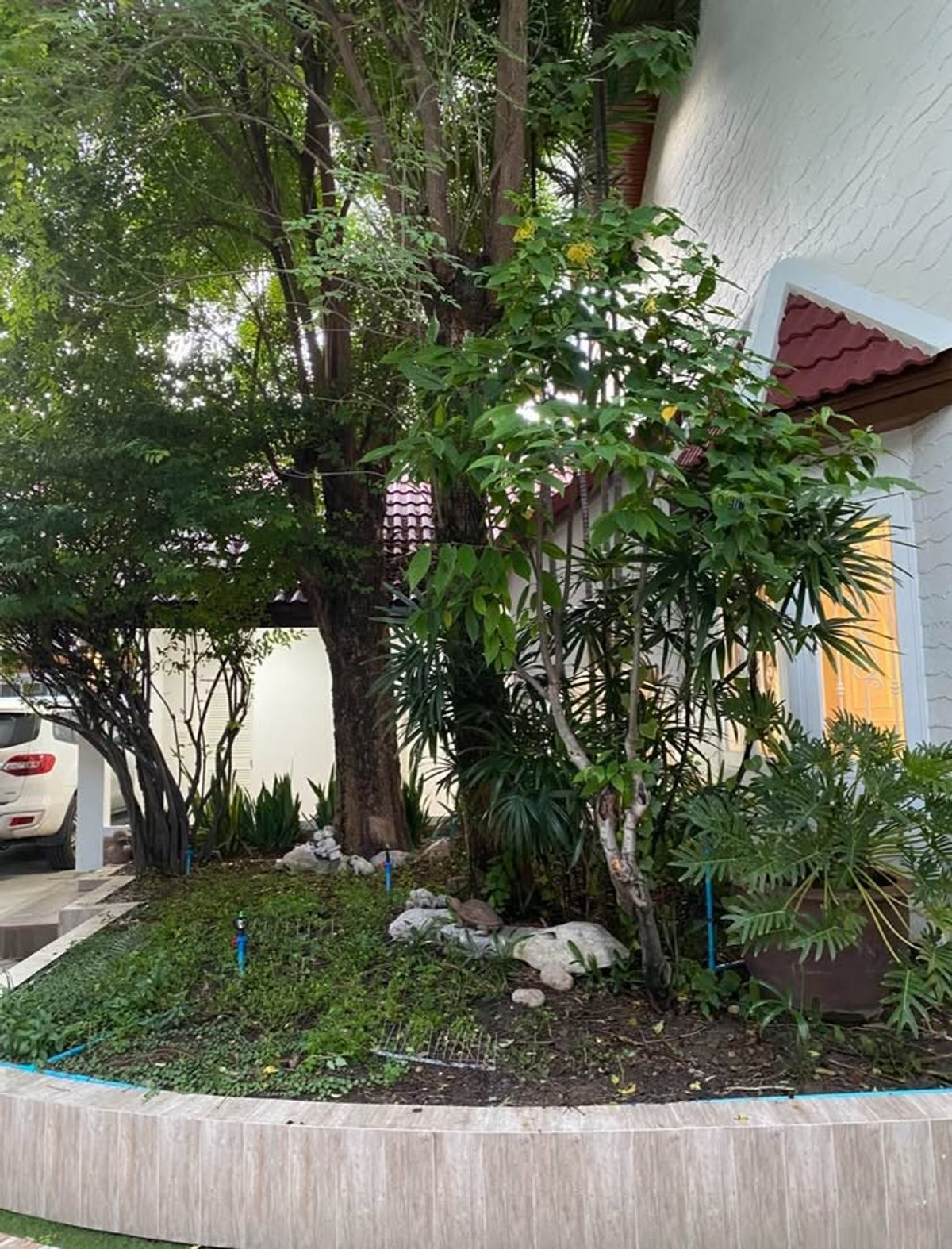 ให้เช่าบ้านอ่อนนุช อุดมสุข : ให้เช่า บ้านเดี่ยว 2 ชั้น ใกล้ BTS อ่อนนุช