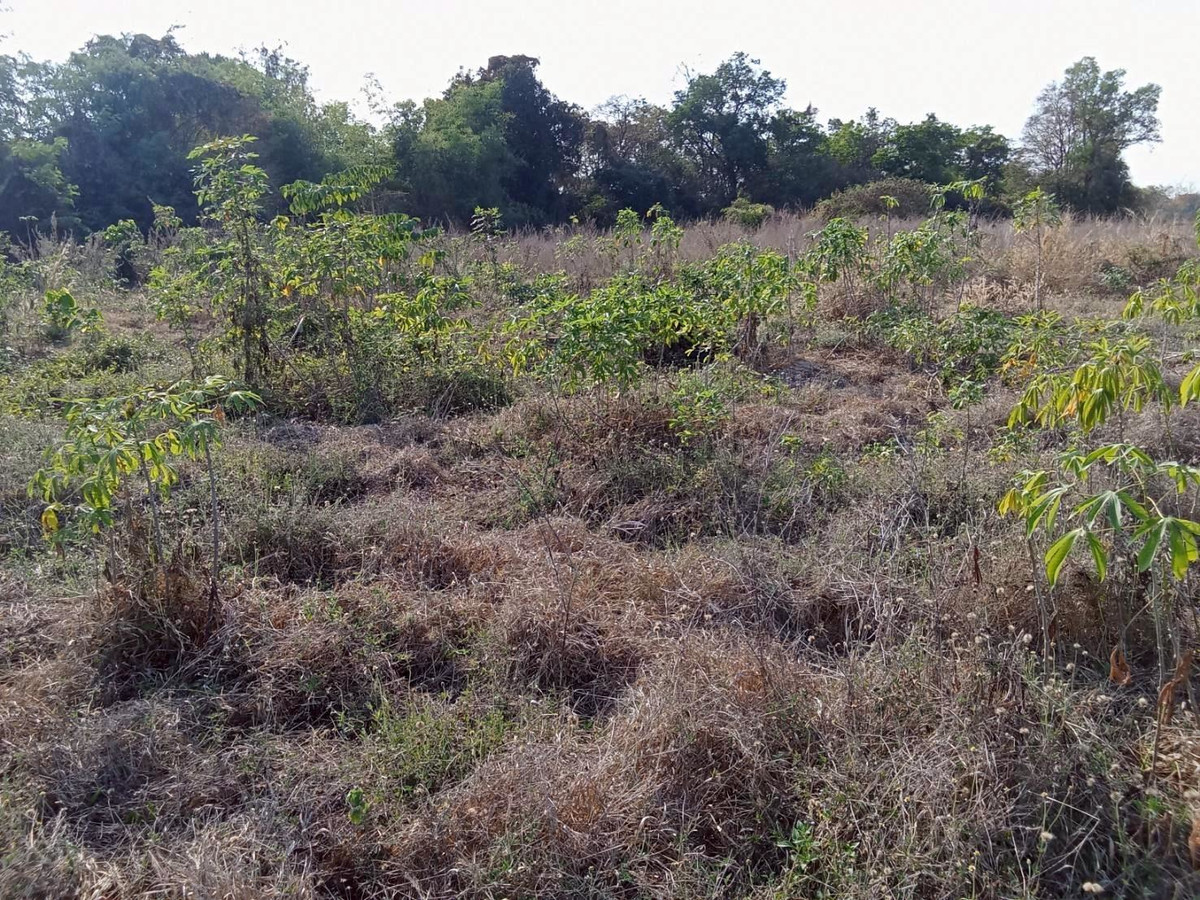 ขายที่ดินอุทัยธานี : ขายที่ดินแปลงใหญ่ อำเภอทัพทัน จังหวัดอุทัยธานี ** ราคา 299 บาท/วา ** (N.2032)