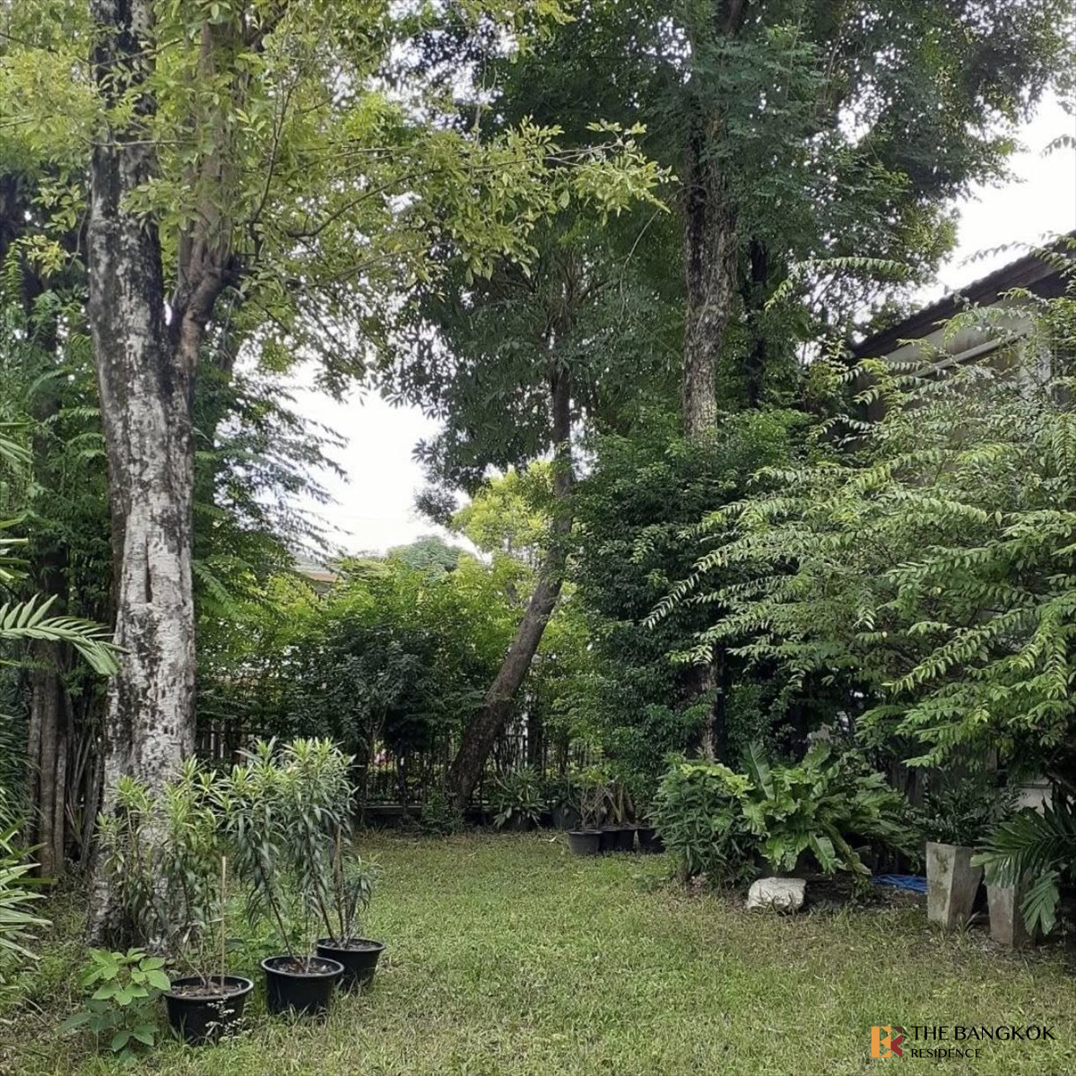 ให้เช่าบ้านมีนบุรี-ร่มเกล้า : Rare Unit 💎 Sammakorn Ramkhamhaeng 112 🏡 บ้านเดี่ยวบรรยากาศร่มรื่น ใกล้เมือง เดินทางสะดวก