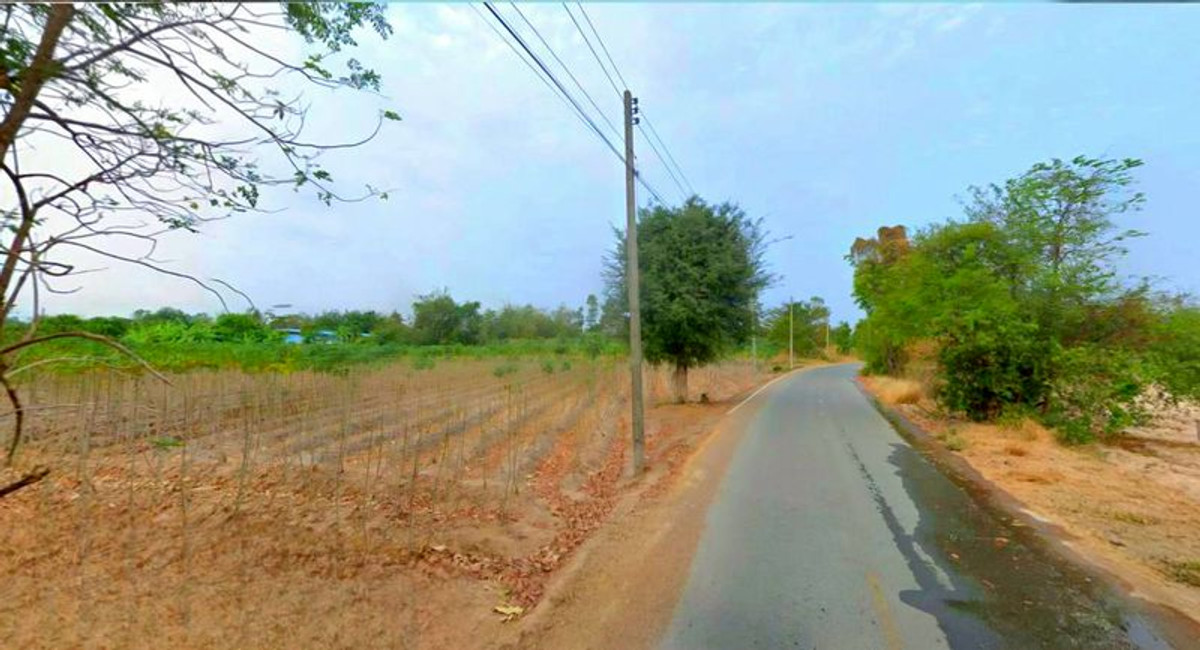 For RentLandNakhon Sawan : Land for rent, 5 rai, view of cassava plantation, near school and Phaisali Hospital, Phaisali District, Nakhon Sawan Province.