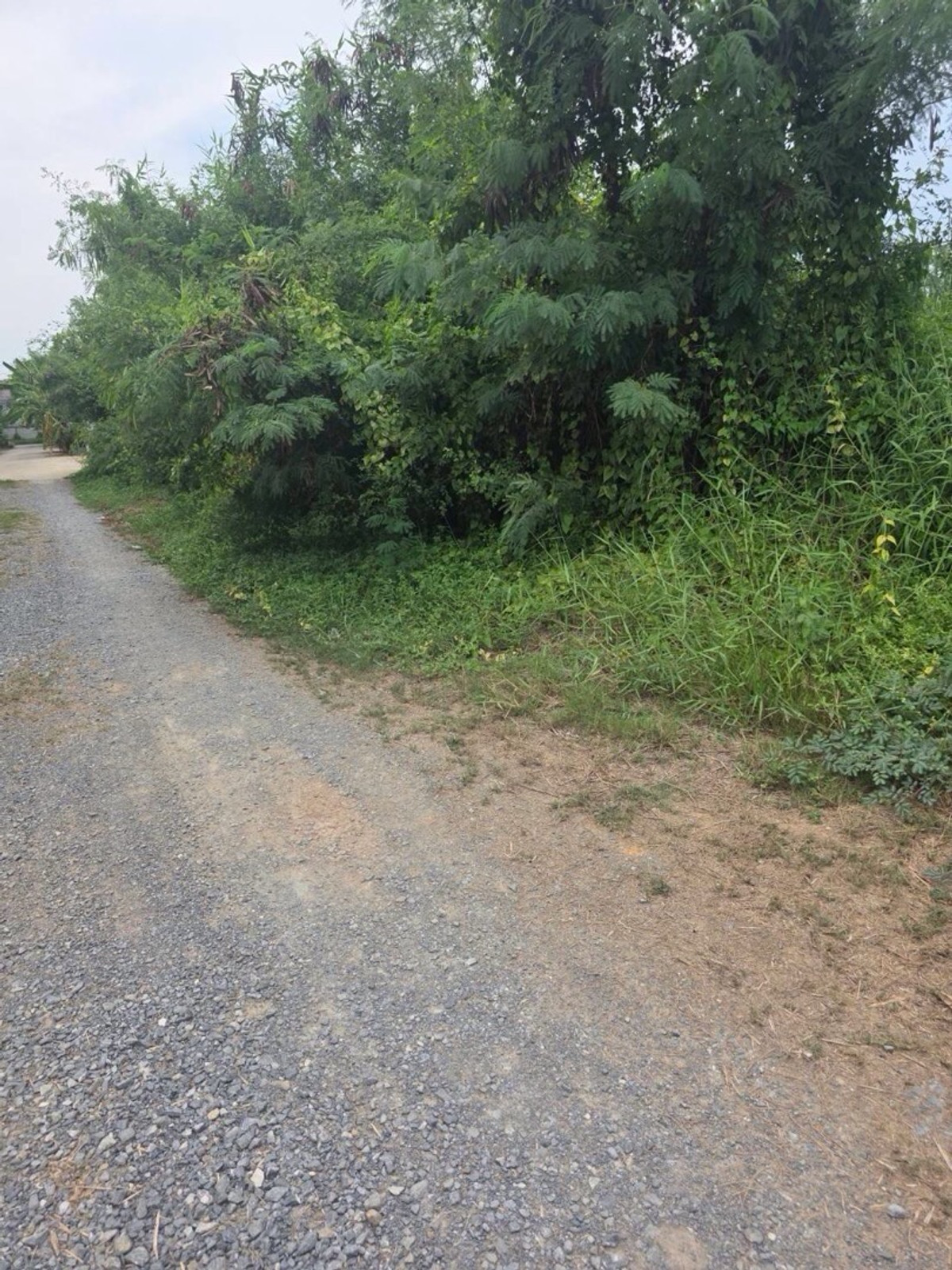 ขายที่ดินพระราม 2 บางขุนเทียน : ขายที่ดินเปล่า ย่านบางกระดี่1 บางขุนเทียน เนื้อที่511ตารางวา กรุงเทพมหานคร