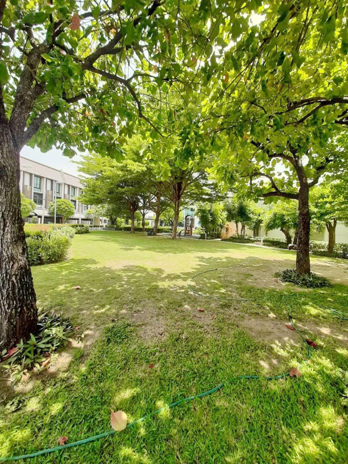 ให้เช่าทาวน์โฮมบางซื่อ วงศ์สว่าง เตาปูน : ให้เช่า บ้านทาวน์โฮมพร้อมเฟอร์นิเจอร์ บิ้วอิน หลังมุม หมู่บ้านฟลอร่าวงศ์สว่าง 