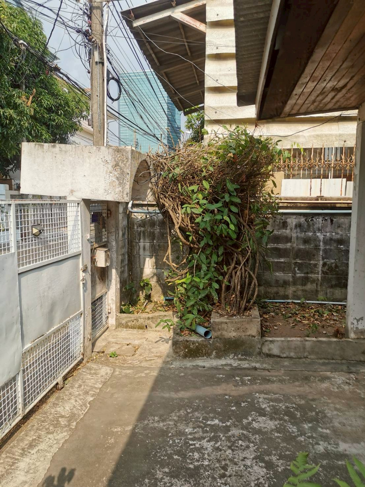 ขายที่ดินสะพานควาย จตุจักร : 95733 - ขาย ที่ดินพร้อมสิ่งปลูกสร้าง พื้นที่ 104 ตร.วา ซอยวิภาวดี 36 หลังสำนักงานเขตจตุจักร