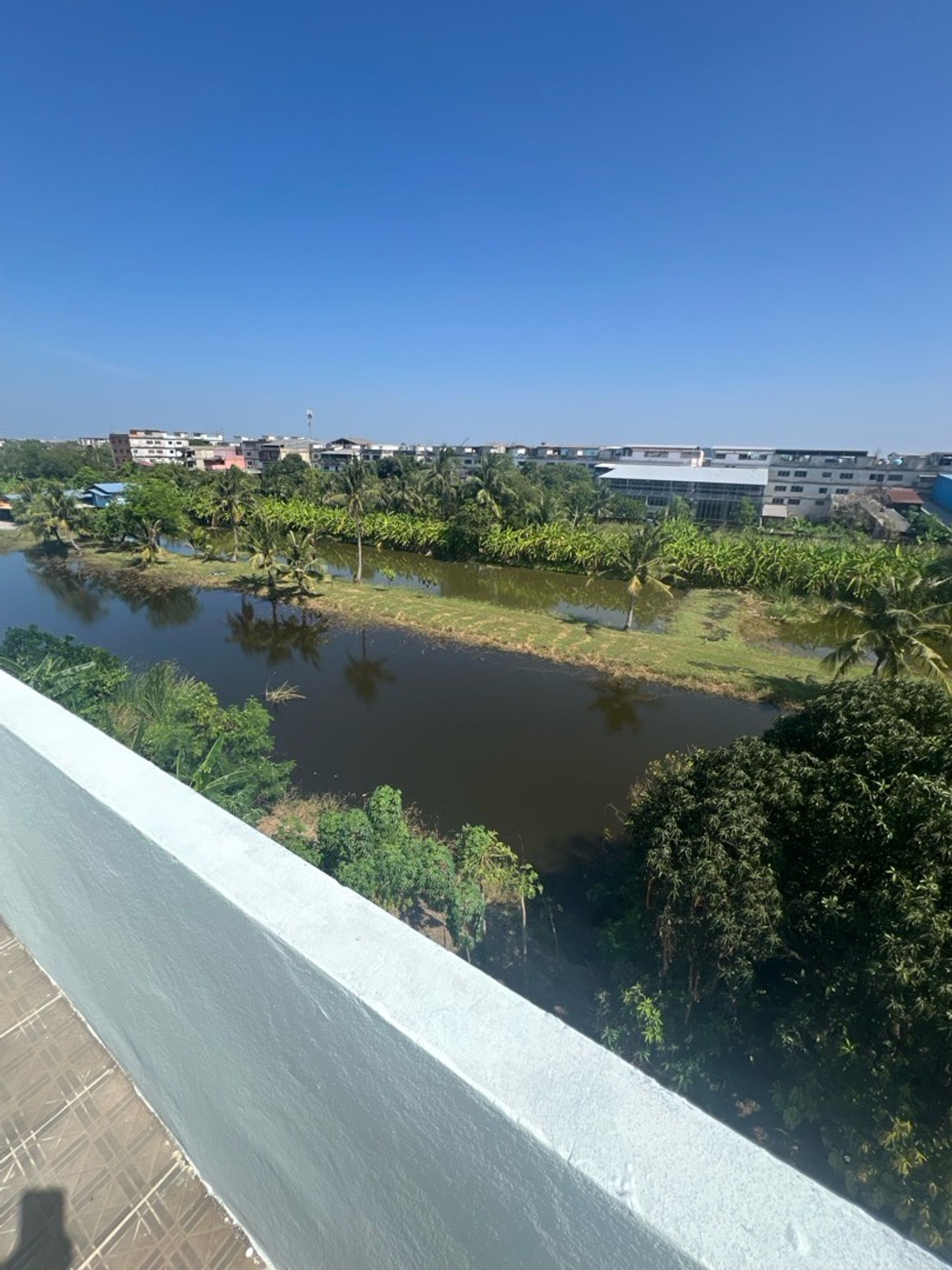 For SaleShop HouseMahachai Samut Sakhon : Prime location, commercial building, detached house style, with rooftop, garden view and city view, 3 and a half floors, 2 houses next to each other, with space around the house.