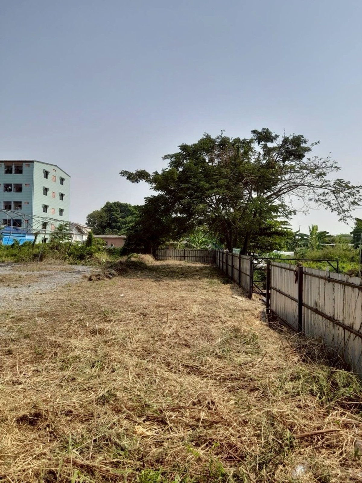 ขายที่ดินลาดกระบัง สุวรรณภูมิ : ขาย ที่ดินเปล่า ซอย ลาดกระบัง 2/1 230 ตร.วา ใกล้ถนนใหญ่ และ สนามบินสุวรรณภูมิ