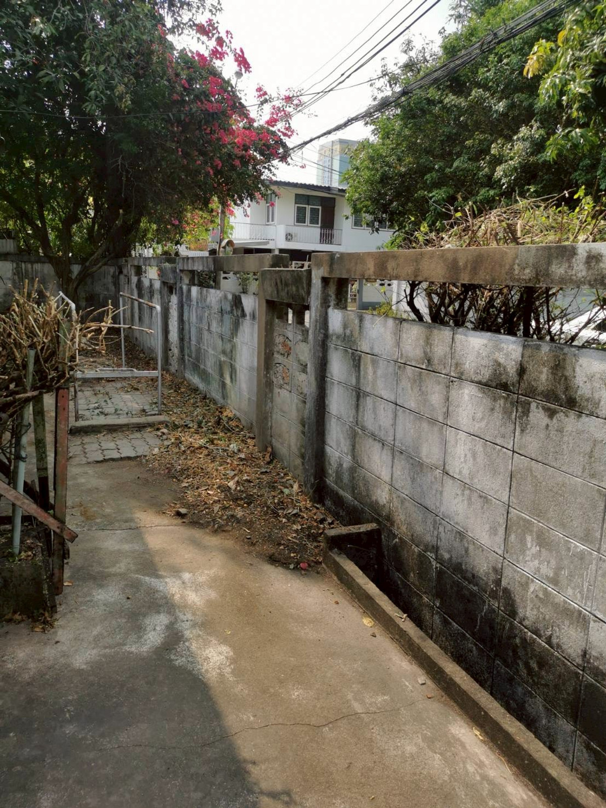 ขายที่ดินสะพานควาย จตุจักร : 95733 - ขาย ที่ดินพร้อมสิ่งปลูกสร้าง พื้นที่ 104 ตร.วา ซอยวิภาวดี 36 หลังสำนักงานเขตจตุจักร