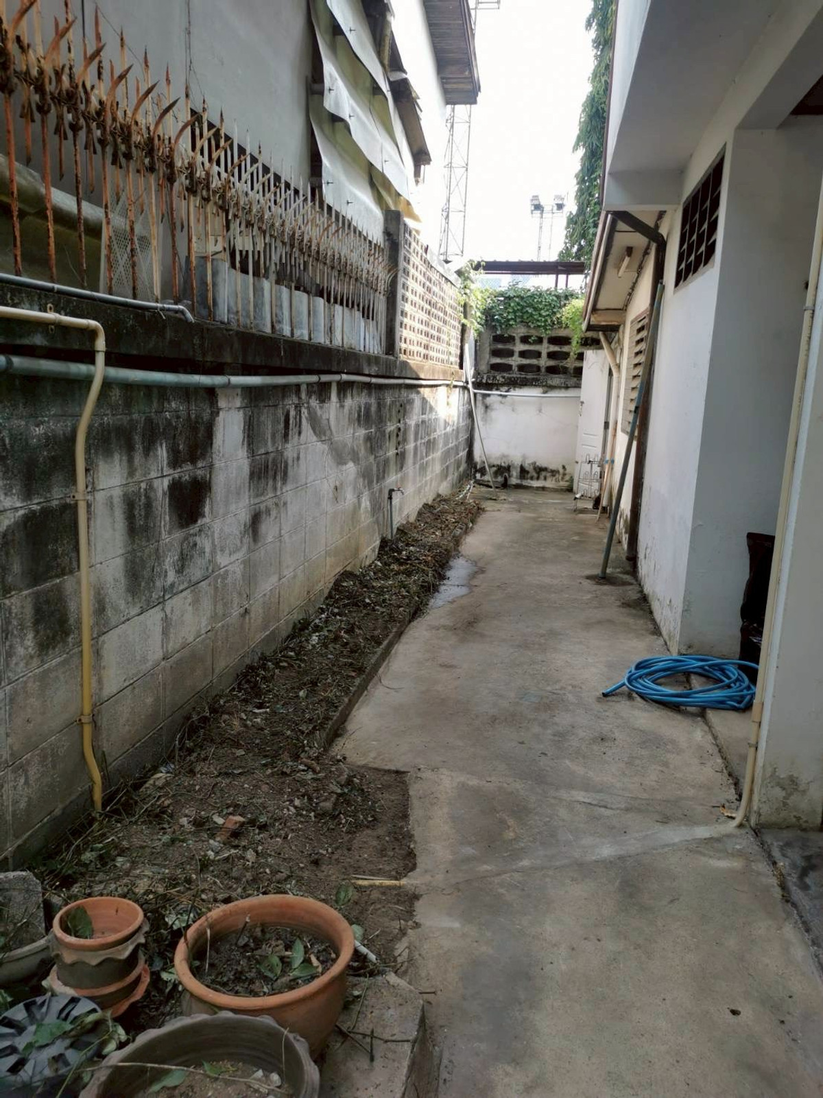 ขายที่ดินสะพานควาย จตุจักร : 95733 - ขาย ที่ดินพร้อมสิ่งปลูกสร้าง พื้นที่ 104 ตร.วา ซอยวิภาวดี 36 หลังสำนักงานเขตจตุจักร