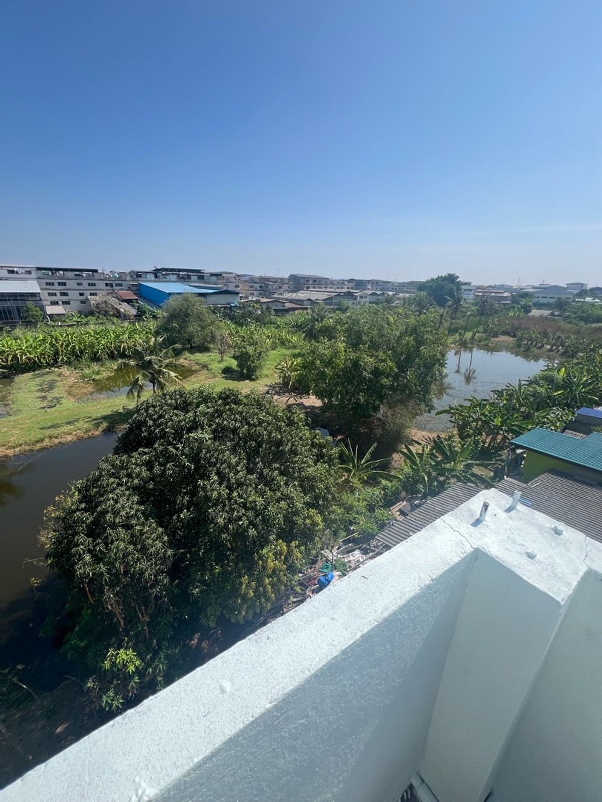 For SaleShop HouseMahachai Samut Sakhon : Prime location, commercial building, detached house style, with rooftop, garden view and city view, 3 and a half floors, 2 houses next to each other, with space around the house.