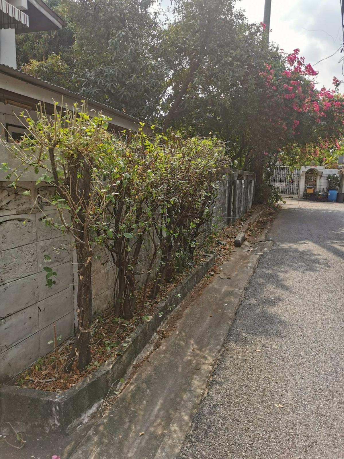 ขายที่ดินสะพานควาย จตุจักร : 95733 - ขาย ที่ดินพร้อมสิ่งปลูกสร้าง พื้นที่ 104 ตร.วา ซอยวิภาวดี 36 หลังสำนักงานเขตจตุจักร