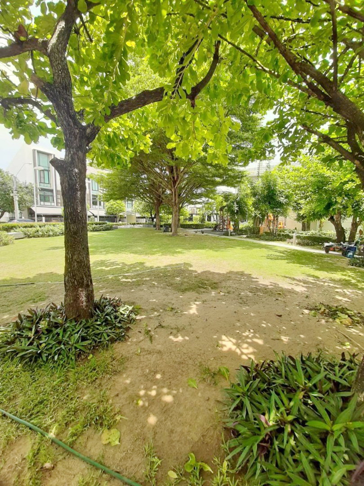 ให้เช่าทาวน์โฮมบางซื่อ วงศ์สว่าง เตาปูน : ให้เช่า บ้านทาวน์โฮมพร้อมเฟอร์นิเจอร์ บิ้วอิน หลังมุม หมู่บ้านฟลอร่าวงศ์สว่าง 