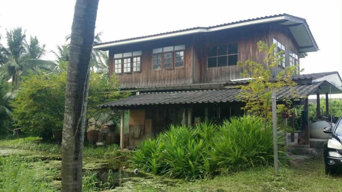 ขายที่ดินพุทธมณฑล ศาลายา : ขายที่ดินเปล่า ถนนประชาร่วมใจแถว วัดไร่ขิง ไร่ขิง สามพราน นครปฐม CX-148907