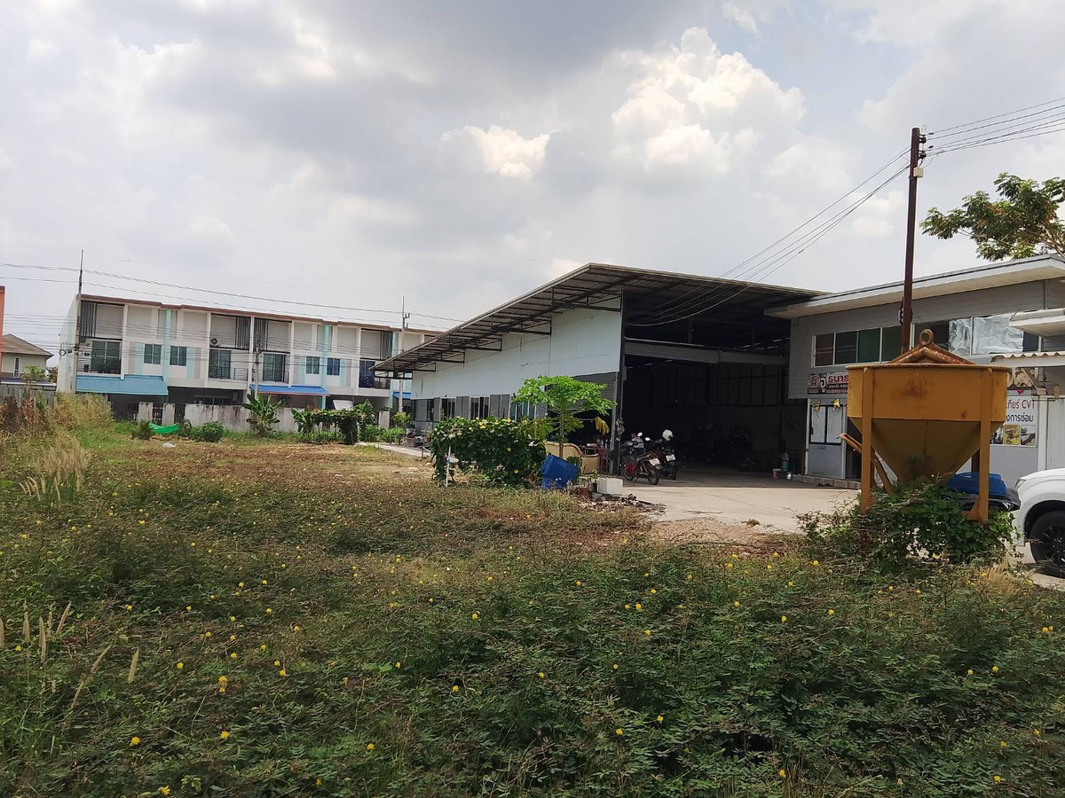 ให้เช่าที่ดินปทุมธานี รังสิต ธรรมศาสตร์ : ที่ดินให้เช่า  แปลง 200 ตารางวา คลองสาม ซอย 1/4 ติดถนนลาดยาง ทางไปโรงเรียนสวนกุหลาบ รังสิต