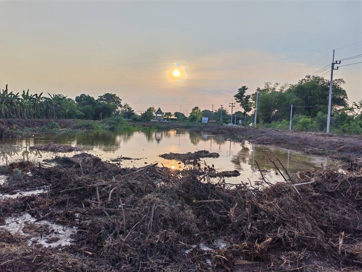 ขายที่ดินปทุมธานี รังสิต ธรรมศาสตร์ : 🔥 ขายที่ดิน 7 ไร่กว่า | หนองเสือ ปทุมธานี | เพียง 9 ล้านบาท 🔥
✨ ทำเลดี ติดถนนใหญ่ คลอง 11 ฝั่งตะวันออก ✨