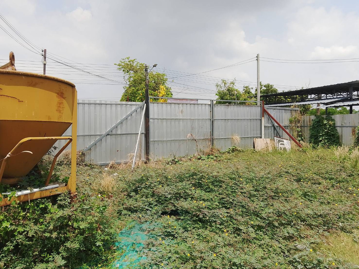 ให้เช่าที่ดินปทุมธานี รังสิต ธรรมศาสตร์ : ที่ดินให้เช่า  แปลง 200 ตารางวา คลองสาม ซอย 1/4 ติดถนนลาดยาง ทางไปโรงเรียนสวนกุหลาบ รังสิต