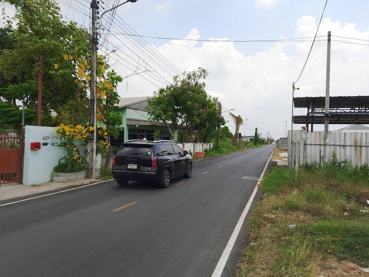 ให้เช่าที่ดินปทุมธานี รังสิต ธรรมศาสตร์ : ที่ดินให้เช่า  แปลง 200 ตารางวา คลองสาม ซอย 1/4 ติดถนนลาดยาง ทางไปโรงเรียนสวนกุหลาบ รังสิต