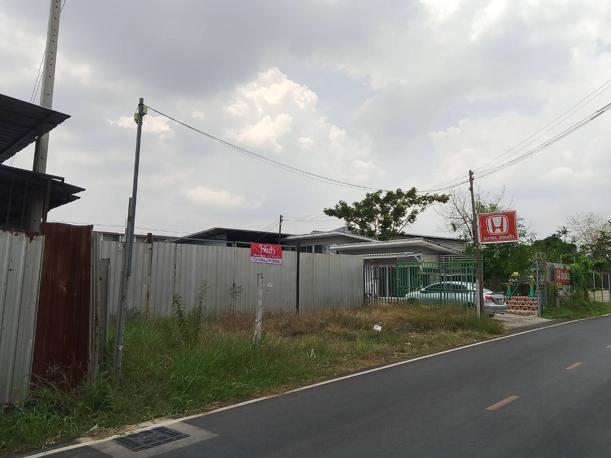 ให้เช่าที่ดินปทุมธานี รังสิต ธรรมศาสตร์ : ที่ดินให้เช่า  แปลง 200 ตารางวา คลองสาม ซอย 1/4 ติดถนนลาดยาง ทางไปโรงเรียนสวนกุหลาบ รังสิต