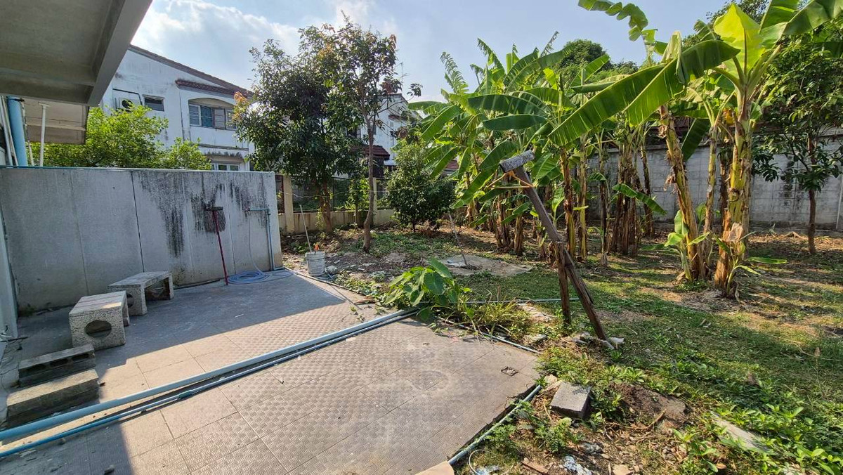 ให้เช่าบ้านเสรีไทย-นิด้า : ให้เช่าบ้านเดี่ยว 2 ชั้น เสรีไทย 57 - มีสวนข้างบ้านขนาดใหญ่