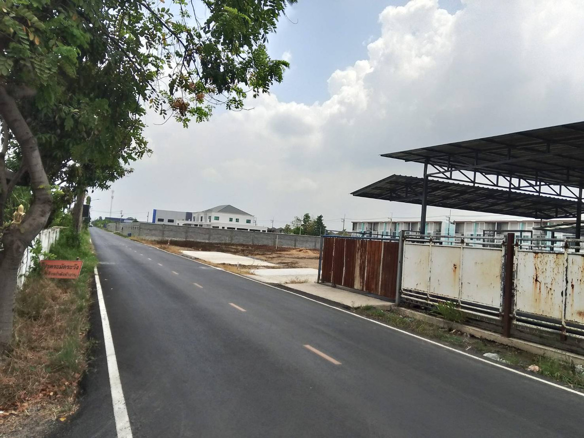 ให้เช่าที่ดินปทุมธานี รังสิต ธรรมศาสตร์ : ที่ดินให้เช่า  แปลง 200 ตารางวา คลองสาม ซอย 1/4 ติดถนนลาดยาง ทางไปโรงเรียนสวนกุหลาบ รังสิต