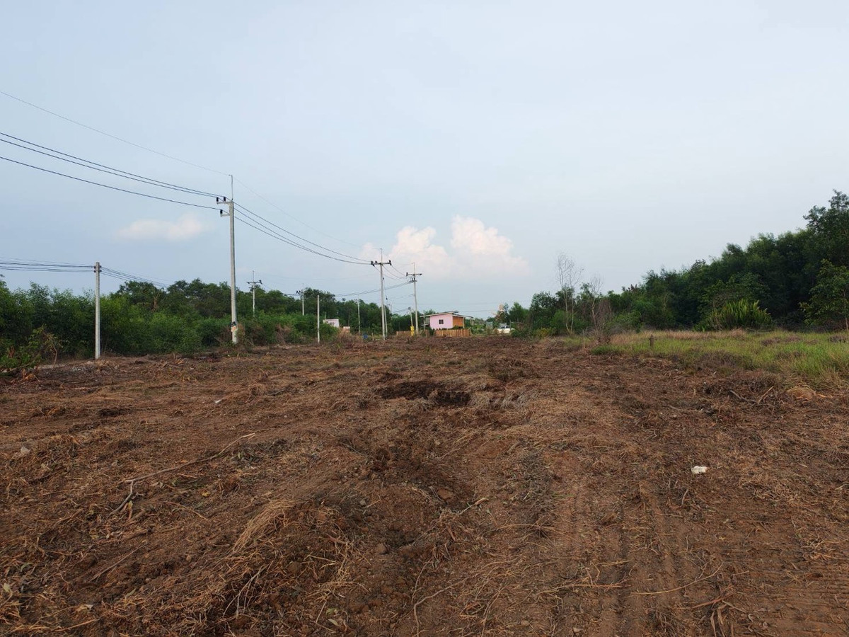 For SaleLandPathum Thani,Rangsit, Thammasat : Eastern side ✨