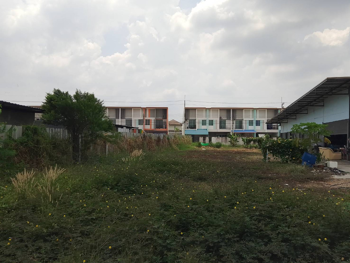 ให้เช่าที่ดินปทุมธานี รังสิต ธรรมศาสตร์ : ที่ดินให้เช่า  แปลง 200 ตารางวา คลองสาม ซอย 1/4 ติดถนนลาดยาง ทางไปโรงเรียนสวนกุหลาบ รังสิต