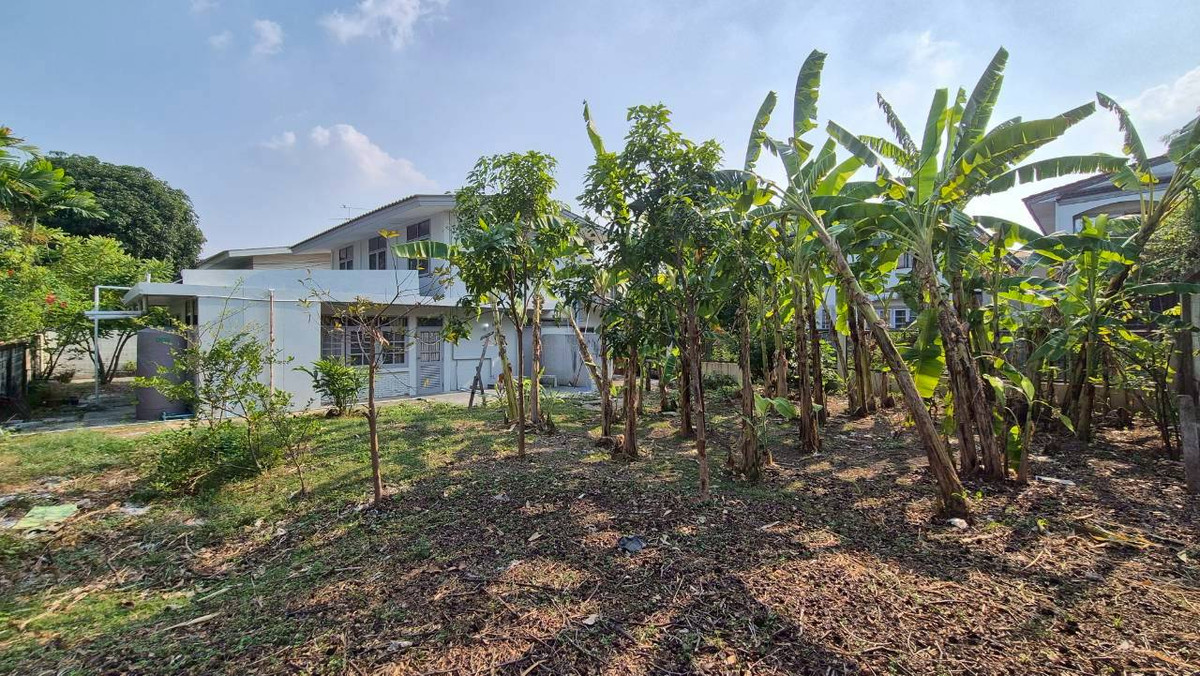 ให้เช่าบ้านเสรีไทย-นิด้า : ให้เช่าบ้านเดี่ยว 2 ชั้น เสรีไทย 57 - มีสวนข้างบ้านขนาดใหญ่