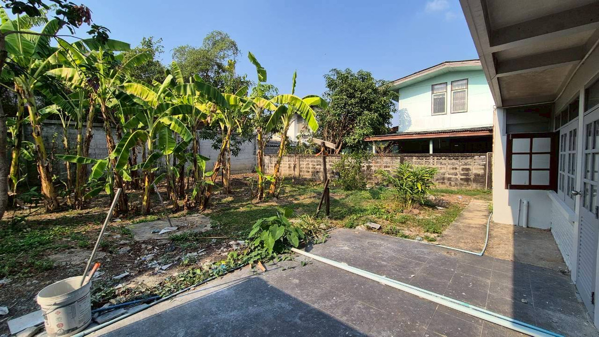 ให้เช่าบ้านเสรีไทย-นิด้า : ให้เช่าบ้านเดี่ยว 2 ชั้น เสรีไทย 57 - มีสวนข้างบ้านขนาดใหญ่