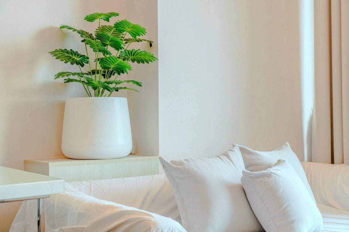 ขายคอนโดพระราม 9 เพชรบุรีตัดใหม่ RCA : ⚡️Best Price⚡️Q Asoke 2B2B 60 Sqm 12,700,000 ติด Mrt เพชรบุรี100 เมตร สนใขติดต่อ พัตเตอร์ 0928895628 🔥Line:plustor_ss