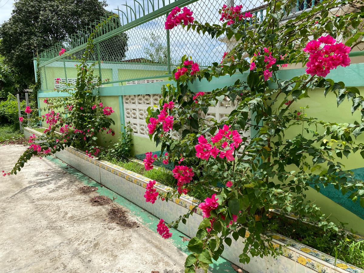 For SaleHouseSing Buri : Single detached house for sale, inexpensive price, lots of space, next to Singburi City Hall. Located 150 meters from the main road, detached house, ready to move in, 2 floors, width 45 meters, 3 bedrooms, 2 bathrooms, 2 ngan, 29 square wa (229 square wa)