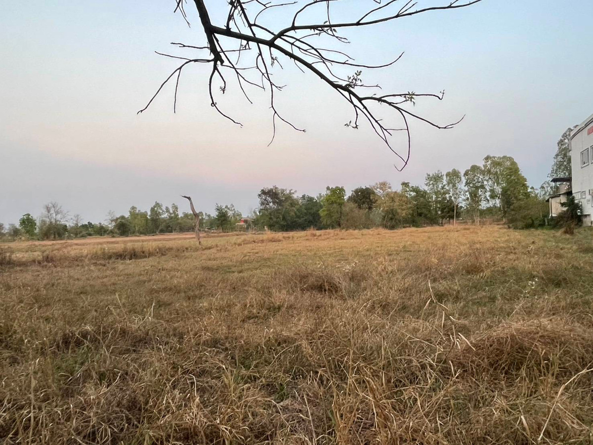 ขายที่ดินมหาสารคาม : ขายที่ดิน เนื้อที่ 3 ไร่ บ้านโนนแสง ต.ท่าขอนยาง อ.กันทรวิชัย จ.มหาสารคาม