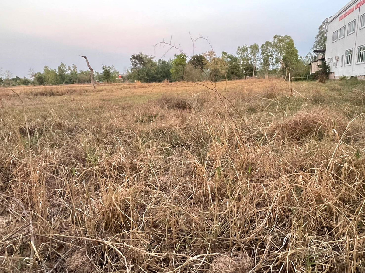 ขายที่ดินมหาสารคาม : ขายที่ดิน เนื้อที่ 3 ไร่ บ้านโนนแสง ต.ท่าขอนยาง อ.กันทรวิชัย จ.มหาสารคาม