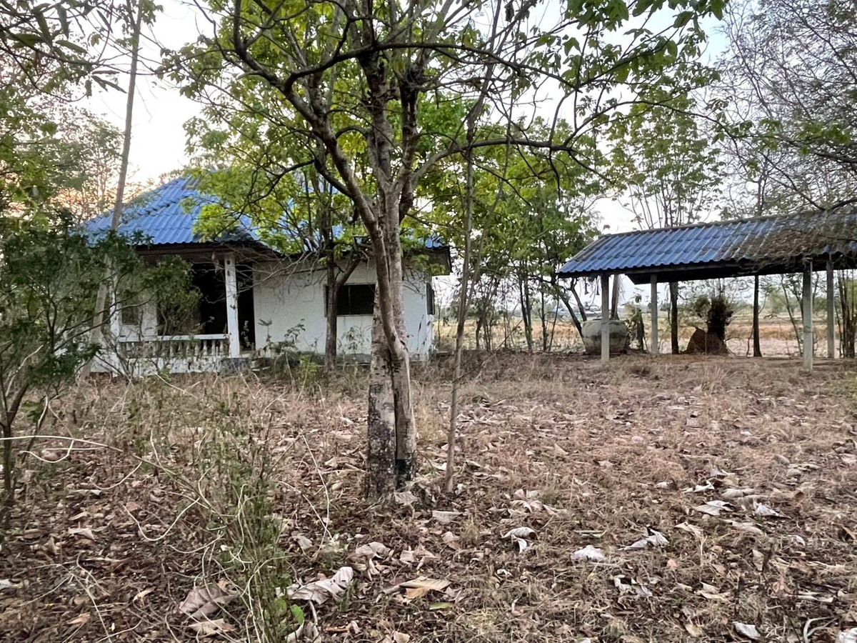 ขายที่ดินมหาสารคาม : ขายที่ดิน เนื้อที่ 3 ไร่ บ้านโนนแสง ต.ท่าขอนยาง อ.กันทรวิชัย จ.มหาสารคาม